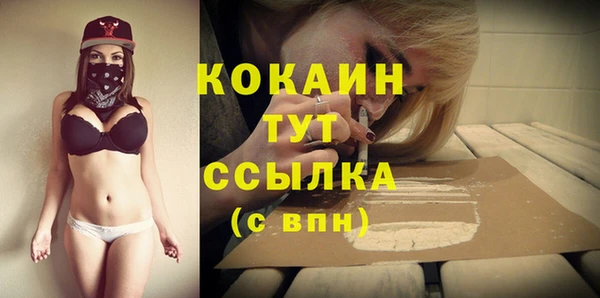 ГАЛЛЮЦИНОГЕННЫЕ ГРИБЫ Михайлов