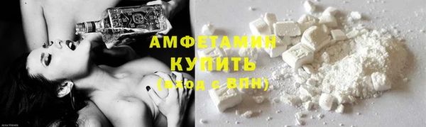 ГАЛЛЮЦИНОГЕННЫЕ ГРИБЫ Михайлов