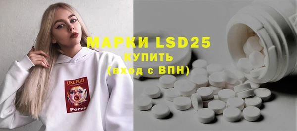 ГАЛЛЮЦИНОГЕННЫЕ ГРИБЫ Михайлов