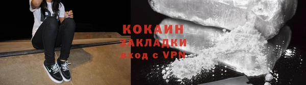 ГАЛЛЮЦИНОГЕННЫЕ ГРИБЫ Михайлов