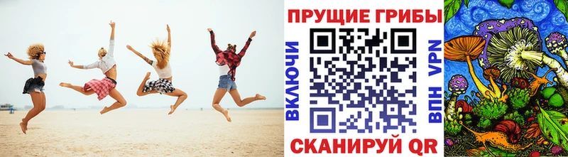 Псилоцибиновые грибы Psilocybine cubensis  мега как войти  Шиханы 